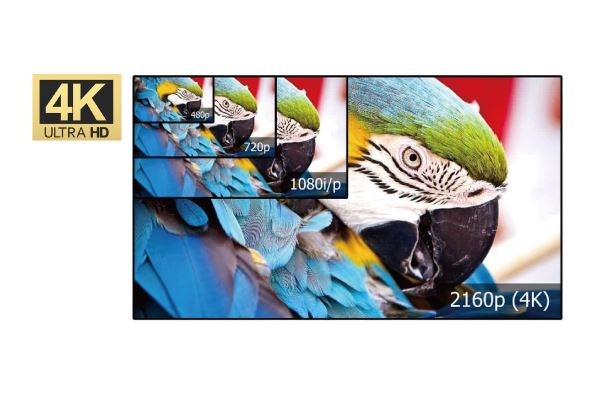 《仕錩國際》移動式顯示器  商用顯示器全面升級至UHD(4K)高畫質
